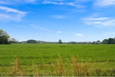 0 Taylorsville Macedonia Rd. Road, Taylorsville, GA 30178 - Photo 8