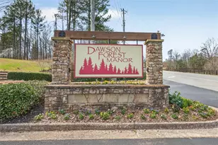 247 Dawson Manor Dr, Dawsonville, GA 30534 - Photo 52