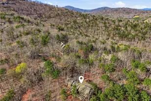 43 Morgan Walk, Big Canoe, GA 30143 - Photo 46