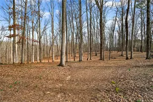 18568 Birmingham Hwy, Alpharetta, GA 30004 - Photo 74