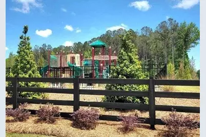 306 Friendship Oak Way, Hampton, GA 30228 - Photo 40