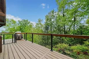 399 Ranch Mountain Dr, Dahlonega, GA 30533 - Photo 20