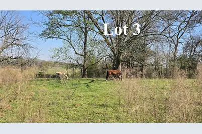 0 Wh Hayes Road, Winder, GA 30680 - Photo 6