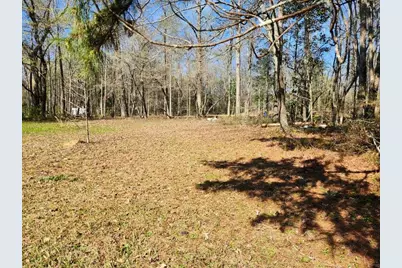 77 Susie Lane, Summerville, GA 30747 - Photo 8