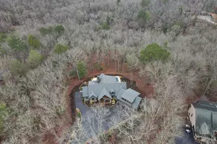 101 Bennett Springs Ct, Mineral Bluff, GA 30559 - Photo 96