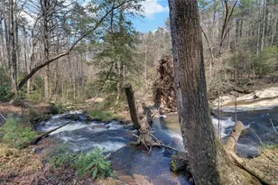 290 Waterfall Dr, Cleveland, GA 30528 - Photo 30