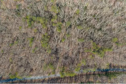 0 Mulberry Circle, Jasper, GA 30143 - Photo 10