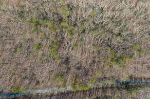 0 Mulberry Circle, Jasper, GA 30143 - Photo 10