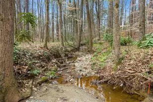 2195 E Maddox Rd, Buford, GA 30519 - Photo 82