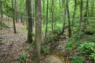 2195 E Maddox Rd, Buford, GA 30519 - Photo 30