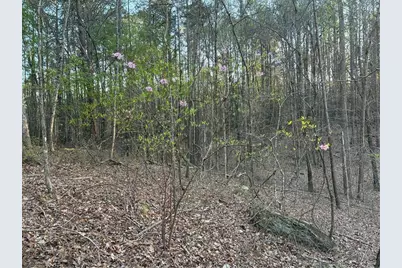 2600 McPherson Church Road, Dallas, GA 30132 - Photo 20