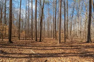 582 Temple Draketown Rd, Temple, GA 30179 - Photo 62