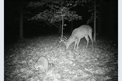 582 Temple Draketown Road, Temple, GA 30179 - Photo 76