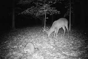 582 Temple Draketown Rd, Temple, GA 30179 - Photo 76