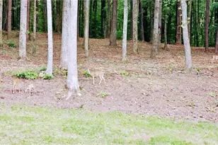 582 Temple Draketown Rd, Temple, GA 30179 - Photo 74