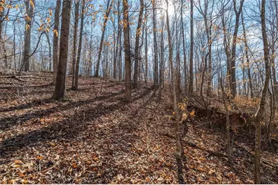 582 Temple Draketown Road, Temple, GA 30179 - Photo 72