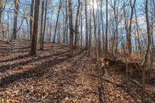 582 Temple Draketown Rd, Temple, GA 30179 - Photo 72