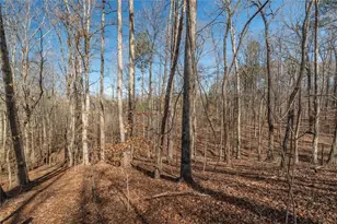 582 Temple Draketown Rd, Temple, GA 30179 - Photo 70