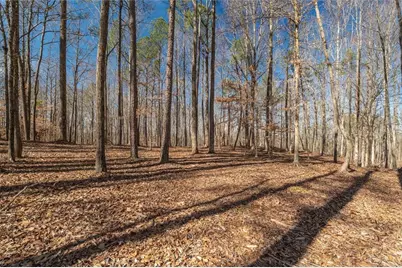 582 Temple Draketown Road, Temple, GA 30179 - Photo 64