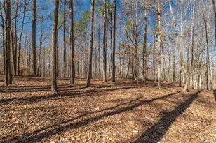 582 Temple Draketown Rd, Temple, GA 30179 - Photo 64