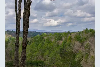 121 Indian Lane, Ellijay, GA 30540 - Photo 26