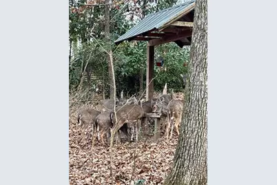 126 E Lake Drive, Roswell, GA 30075 - Photo 42