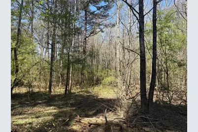 78 Mullinax Road, Taylorsville, GA 30178 - Photo 8