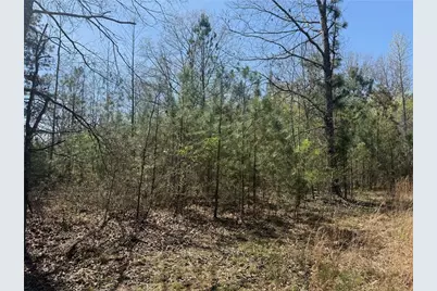 78 Mullinax Road, Taylorsville, GA 30178 - Photo 6