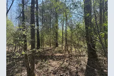 78 Mullinax Road, Taylorsville, GA 30178 - Photo 4