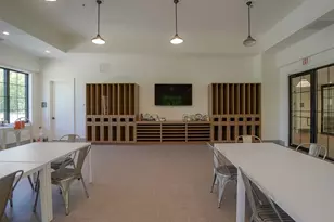 253 Chatuge Dr, Hoschton, GA 30548 - Photo 70