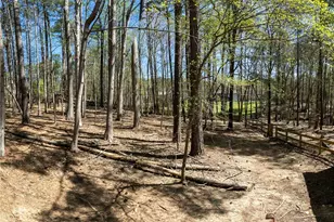 411 Allatoona Trail, Woodstock, GA 30189 - Photo 32