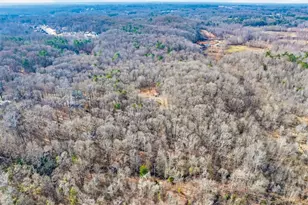 598 Lester Wood Rd, Jefferson, GA 30549 - Photo 64