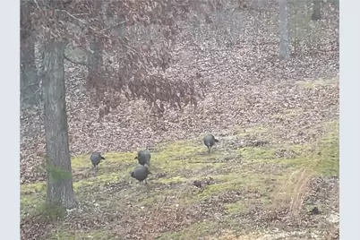 421 Dogwood Lane, Rising Fawn, GA 30738 - Photo 18