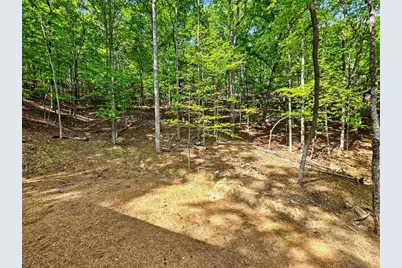 145 Jack Rabbit Drive, Waleska, GA 30183 - Photo 36