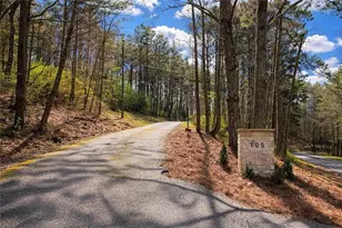 105 Riveredge Dr, Ellijay, GA 30536 - Photo 52