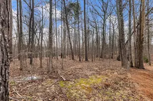 6147 Golf View Ct, Jefferson, GA 30549 - Photo 58