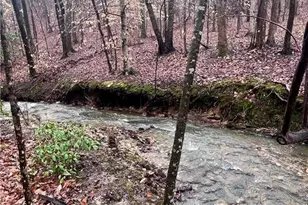 100 Buckwood Farms Path, Dallas, GA 30132 - Photo 68