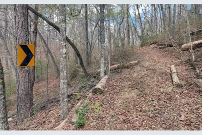 3256 Long Branch Road, Dahlonega, GA 30533 - Photo 58