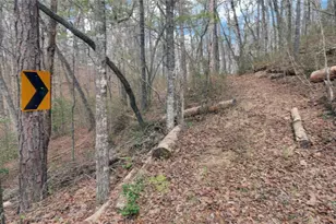 3256 Long Branch Rd, Dahlonega, GA 30533 - Photo 58