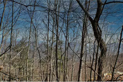 0 157 Highway, Rising Fawn, GA 30738 - Photo 4