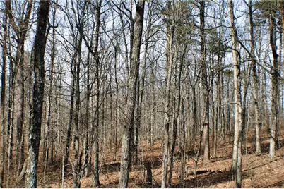 0 157 Highway, Rising Fawn, GA 30738 - Photo 6