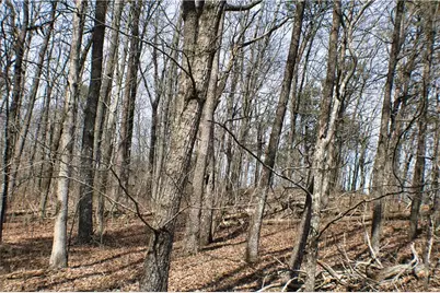 0 157 Highway, Rising Fawn, GA 30738 - Photo 8