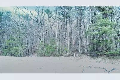 0 157 Highway, Rising Fawn, GA 30738 - Photo 16