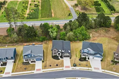 8150 Scenic Ridge Way, Ball Ground, GA 30107 - Photo 32