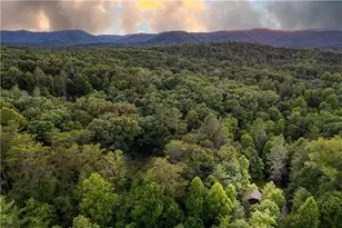 307 Bent Wood Ln, Blue Ridge, GA 30513 - Photo 6