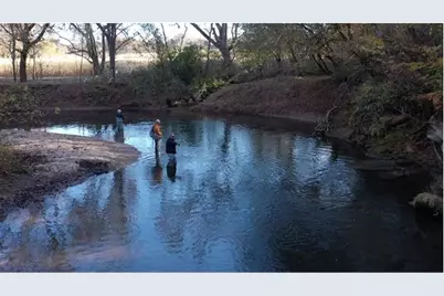 2320 Hardman Road, Clarkesville, GA 30523 - Photo 12