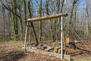 300 Small Pond Dr, Cleveland, GA 30528 - Photo 76