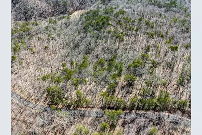 0 Outback Road, Jasper, GA 30143 - Photo 6