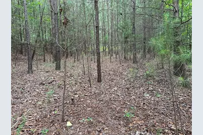 585 Galaxy Way, Ranger, GA 30734 - Photo 6