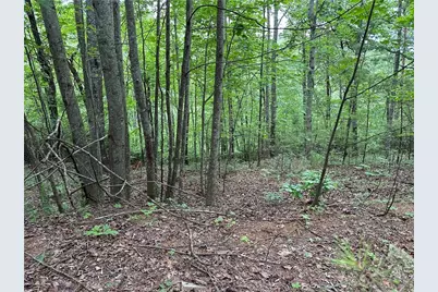 585 Galaxy Way, Ranger, GA 30734 - Photo 8